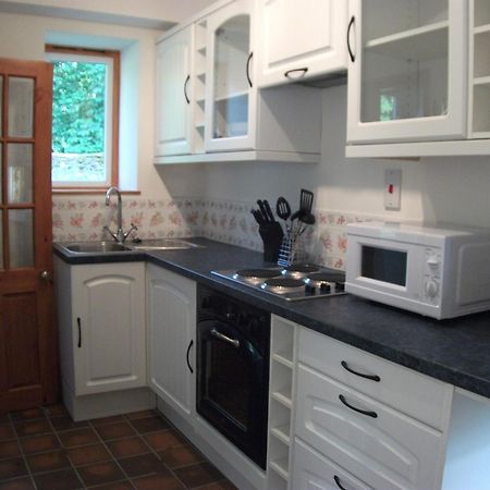 Bryn Cottage Llandderfel 외부 사진