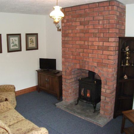 Bryn Cottage Llandderfel 외부 사진