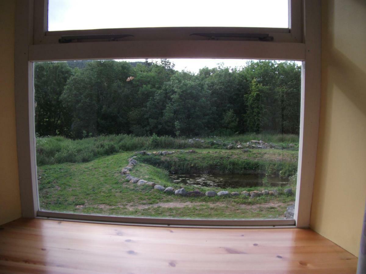 Bryn Cottage Llandderfel 외부 사진