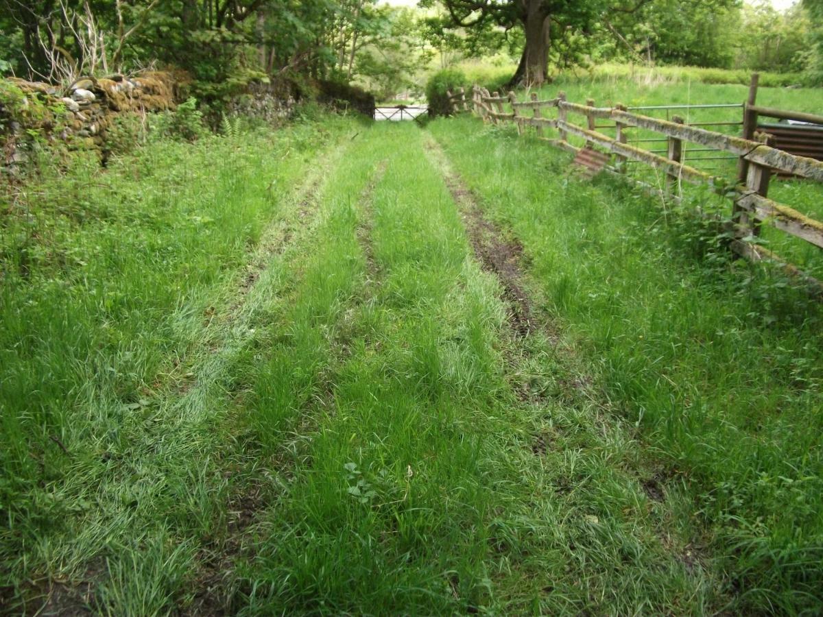 Bryn Cottage Llandderfel 외부 사진
